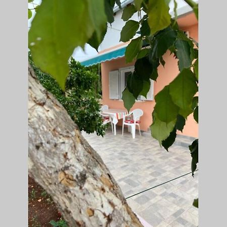 Manuel Apartment Đảo Korčula Ngoại thất bức ảnh