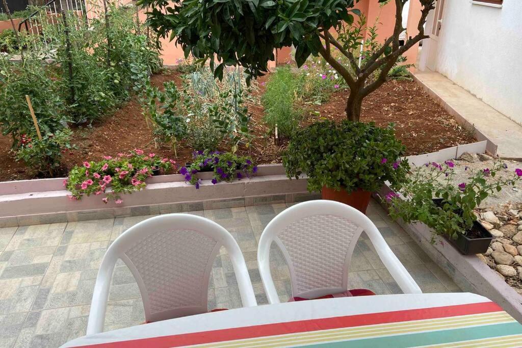 Manuel Apartment Đảo Korčula Ngoại thất bức ảnh