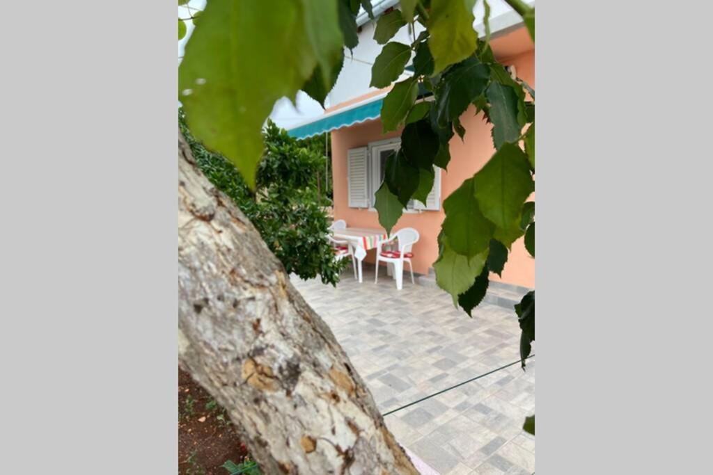Manuel Apartment Đảo Korčula Ngoại thất bức ảnh